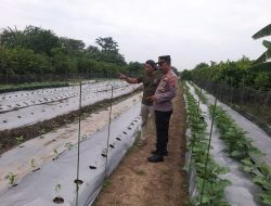 Kanit Binmas Polsek Taman Cek Lokasi Ketahanan Pangan 