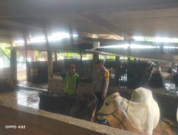 Bhabinkamtibmas Pertapan Maduretno Sambangi Warga Peternak Sapi 