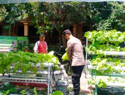 Fasum Perumahan di Candi Dijadikan Tanaman Sayur Hidroponik