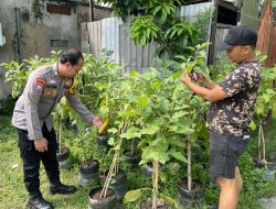 Bhabinkamtibmas Desa Kedungrejo Polsek Waru Cek Perkembangan Tanaman Sayur