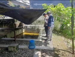 Bhabinkamtibmas Wedoro Dukung Ketahanan Pangan Lewat Budidaya Ikan Patin