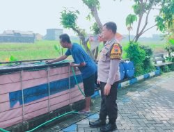 Polsek Sukodono Dukung Ketahanan Pangan Lewat Program Budidaya Lele di Masangankulon