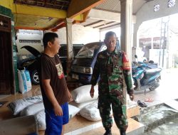 Babinsa Desa Tulung Dampingi Penyerapan Gabah Petani Oleh Bulog