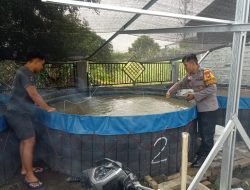 Bhabinkamtibmas Banjarsari Polsek Buduran Dukung Peternak Lele