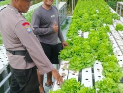Bhabinkamtibmas Desa Seketi Sambangi Lahan Ketahanan Pangan