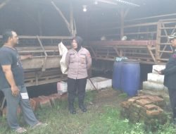 Polsek Gedangan Bersama Perangkat Desa Ganting Lakukan Pengecekan Kesehatan Hewan Ternak