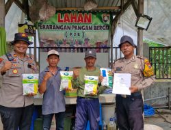 Kapolsek Balongbendo Serahkan Benih Jagung Hybrida, Dukung Pekarangan Bergizi untuk Ketahanan Pangan