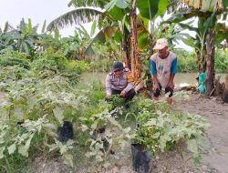Polisi Ajak Warga Gagang Kepuhsari Balongbendo Kelola Lahan Kosong di Tanami Sayuran