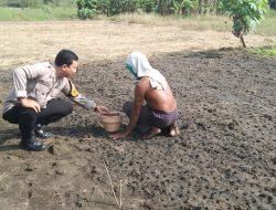 Polsek Sidoarjo Kota Lakukan Pengecekan Lahan Ketahanan Pangan 