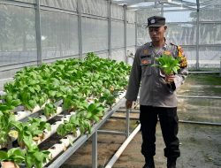 Bhabinkamtibmas Polsek Krian Aiptu Iswahyudi Rawat Hidroponik Pakcoy, 