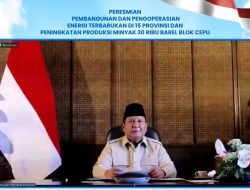 47 PLTS Diresmikan Presiden, 5.383 Rumah Tangga di Wilayah 3T