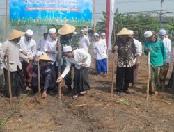 Forkopimka Krian Bersama Santri Ponpes Darul Falah Tanam Jagung 