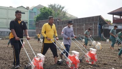 Polresta Sidoarjo Bersama Santri Bumi Sholawat Tanam Jagung