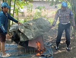 Arena Sabung Ayam Desa Seketi, Kapolsek Balongbendo Terus Lakukan Lidik