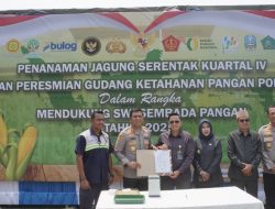 Serentak, Polresta Sidoarjo Tanam Jagung Kuartal IV