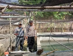Bentuk Dukungan Polsek Tarik, Patroli Ketahanan Pangan di Desa Mergosari