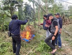 Polresta Malang Kota Bongkar Arena Judi Sabung Ayam