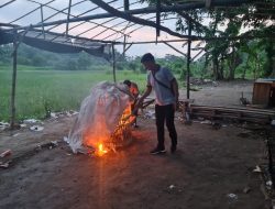 Respon Dumas Sabung Ayam, Polsek Jabon Turun Langsung Datangi Lokasi