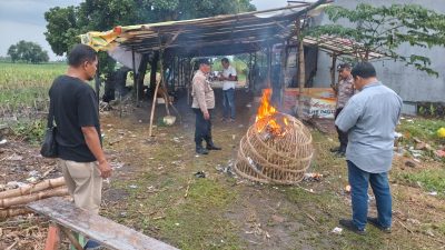 Tiba Di Lokasi Sabung Ayam Polsek Tulangan Hanya Ditemukan Arena Sabung