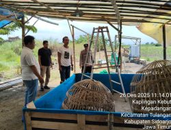 Respon Cepat Polsek Tulangan Adanya Dumas Hanya Temukan Arena Kosong