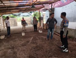 Diduga Jadi Lokasi Sabung Ayam, Polsek Tulangan Lakukan Pembongkaran