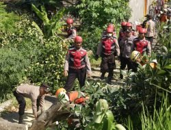 Tanggap Bencana, Polres Tuban Tangani Dampak Angin Puting Beliung