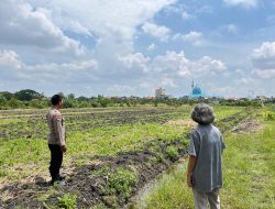 Polsek Taman Turunkan Bhabinkamtibmas Dampingi Pelaksanaan Ketahanan Pangan