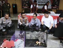 Polresta Sidoarjo Ungkap Kasus Perdagangan Satwa Dilindungi, Jaringan Internasional