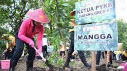 Polres Gresik dan Bhayangkari Tanam Puluhan Pohon Produktif