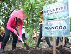 Polres Gresik dan Bhayangkari Tanam Puluhan Pohon Produktif