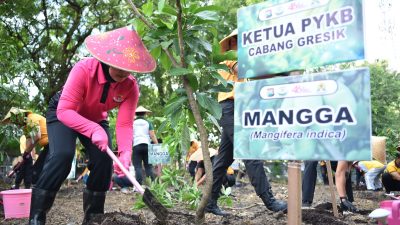 Polres Gresik dan Bhayangkari Tanam Puluhan Pohon Produktif