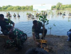 Mangrove Surabaya Jadi Benteng Alami Lawan