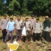 Polresta Malang Kota Panen Jagung Bareng Petani