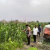 Bhabinkamtibmas Gamping Pantau Jagung Dukung Ketahanan Pangan