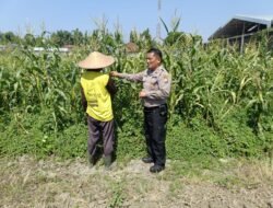 Petani Desa Lebo Apresiasi Dukungan Polisi Cinta Tani