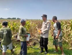 Kapolsek Prambon Dorong Swasembada Pangan, Bhabinkamtibmas Sambangi Petani