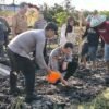 Kapolsek Wonoayu Bantu Gapoktan Tanam Jagung Dukung Swasembada Pangan
