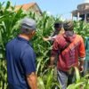 Polsek Balongbendo Bantu Petani Jaga Swasembada Pangan