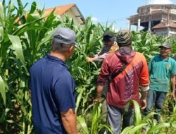 Polsek Balongbendo Bantu Petani Jaga Swasembada Pangan