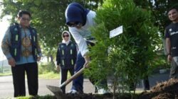Wabup Mimik Idayana Ajak ASN Tanam 1.300 Pohon Pucuk Merah, Target Sidoarjo Lebih Asri dan Sejuk