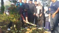 Penanaman 644 Pohon Pucuk Merah, Wabup Sidoarjo Tekankan Kesadaran Masyarakat 