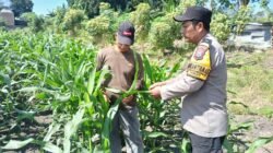 Sinergikan Ketahanan Pangan, Bhabinkamtibmas Polsek Taman Dampingi Kelompok Tani di Sidoarjo