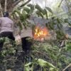 Gerak Cepat Tim Gabungan Padamkan Karhutla di Gunung Orak-Arik Trenggalek