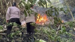 Gerak Cepat Tim Gabungan Padamkan Karhutla di Gunung Orak-Arik Trenggalek