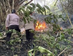 Gerak Cepat Tim Gabungan Padamkan Karhutla di Gunung Orak-Arik Trenggalek