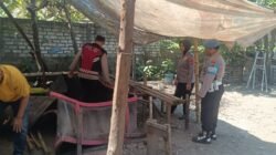 Polsek Krian Bongkar Arena Sabung Ayam di Desa Ponokawan