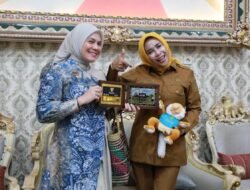 Ruang Berharga Tukar Informasi Peluang Kerjasama UMKM, Wabup Mimik Terima Audensi Wawali Banjarmasin 