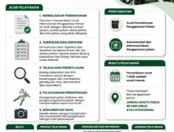 Cegah Resiko Pohon Tumbang, DLHK Sidoarjo Buka Layanan Pengeprasan Gratis