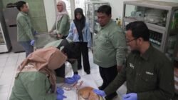 Cegah Rabies, Sidoarjo Gelar Vaksinasi Gratis Hewan