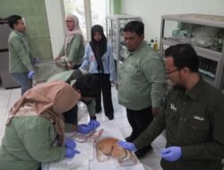 Cegah Rabies, Sidoarjo Gelar Vaksinasi Gratis Hewan